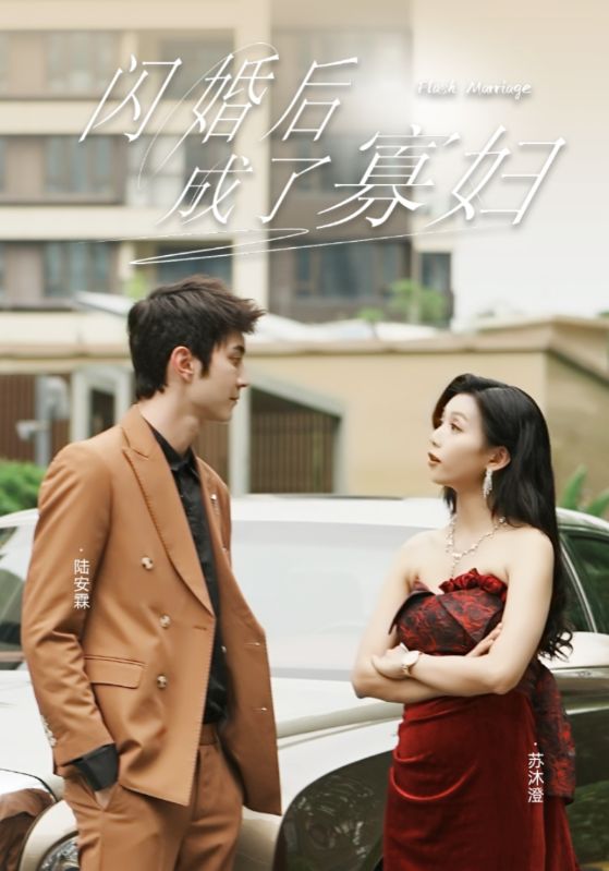 闪婚后成了寡妇(全集)